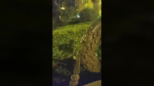 2horny2gay  31-03-2022